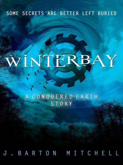 Cover of the book Winterbay by J. Barton Mitchell, St. Martin's Press