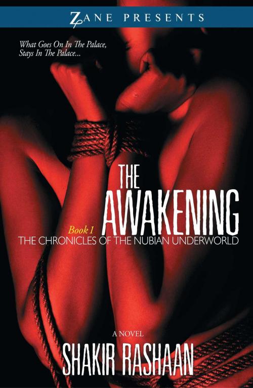 Cover of the book The Awakening by Shakir Rashaan, Strebor Books