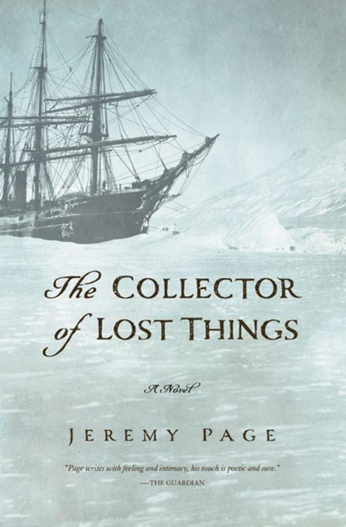 Cover of the book The Collector of Lost Things by Jeremy Page, Pegasus Books