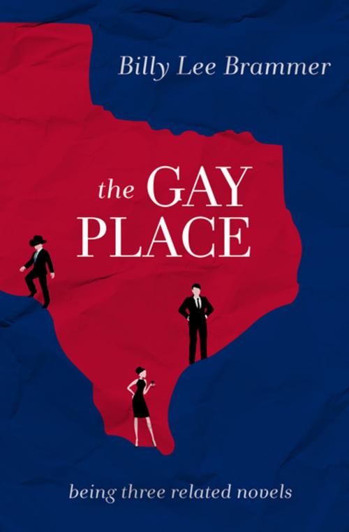 Cover of the book The Gay Place by Billy Lee Brammer, Open Road Media