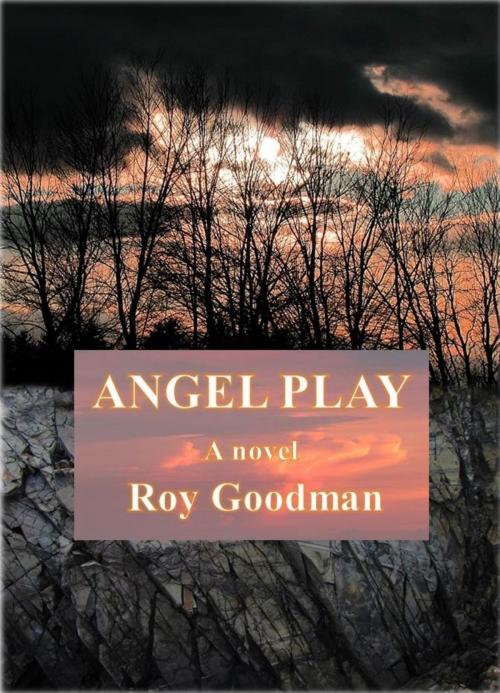Cover of the book Angel Play by Roy Goodman, BookBaby