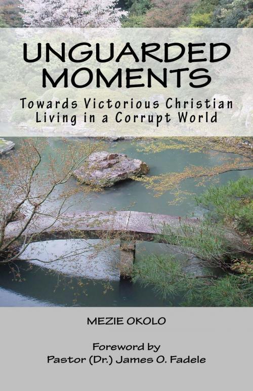Cover of the book Unguarded Moments by Mezie Okolo, BookBaby