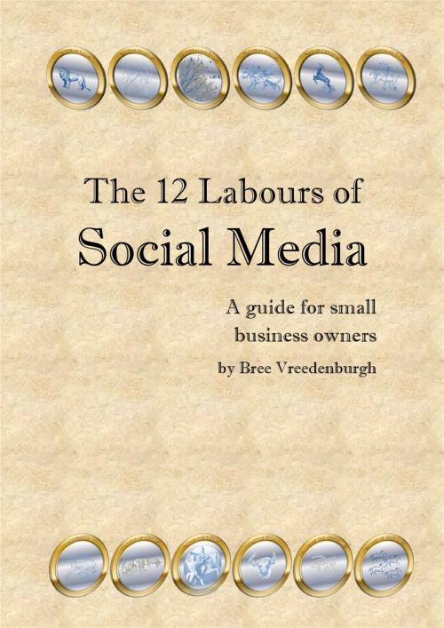 Cover of the book The 12 Labours of Social Media by Bree Vreedenburgh, BookBaby