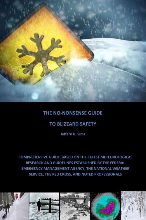 Cover of the book The No-Nonsense Guide To Blizzard Safety by Jeffery D. Sims, BookBaby