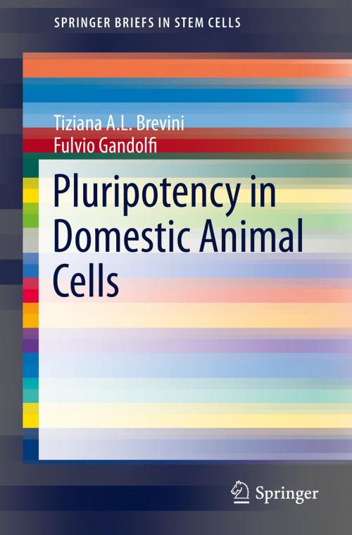 Cover of the book Pluripotency in Domestic Animal Cells by Tiziana A.L. Brevini, Fulvio Gandolfi, Springer New York