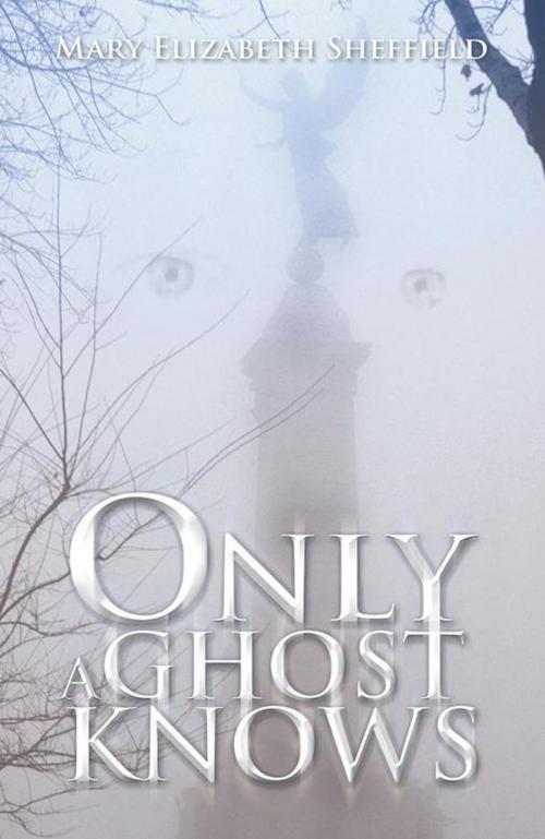 Cover of the book Only a Ghost Knows by Mary Elizabeth Sheffield, Trafford Publishing