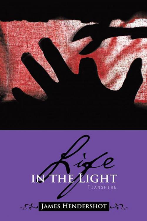 Cover of the book Life in the Light by James Hendershot, Trafford Publishing