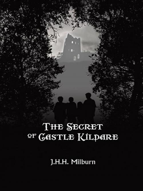 Cover of the book The Secret of Castle Kildare by J.H.H. Milburn, Trafford Publishing