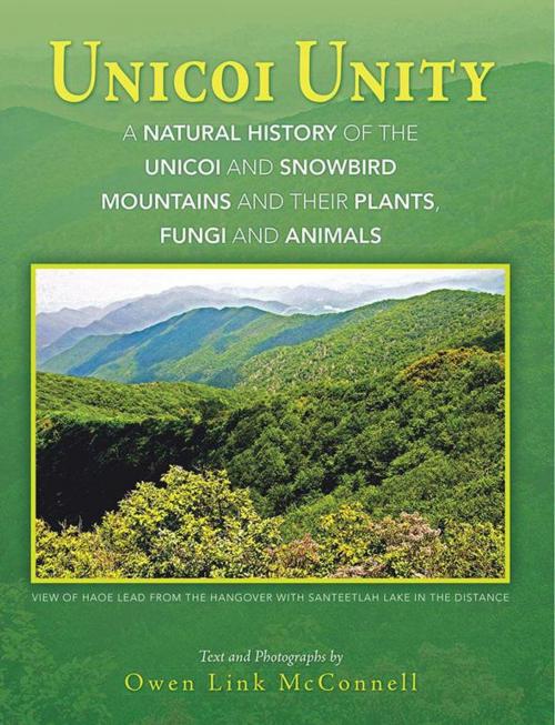 Cover of the book Unicoi Unity by Owen Link McConnell, AuthorHouse