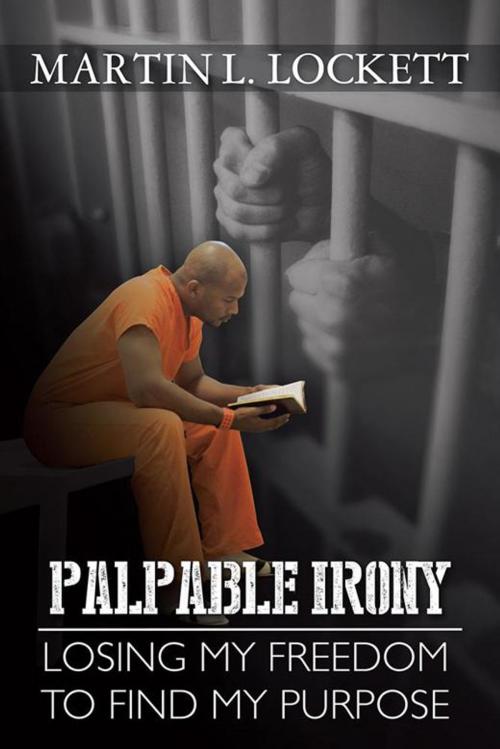Cover of the book Palpable Irony by Martin L. Lockett, AuthorHouse