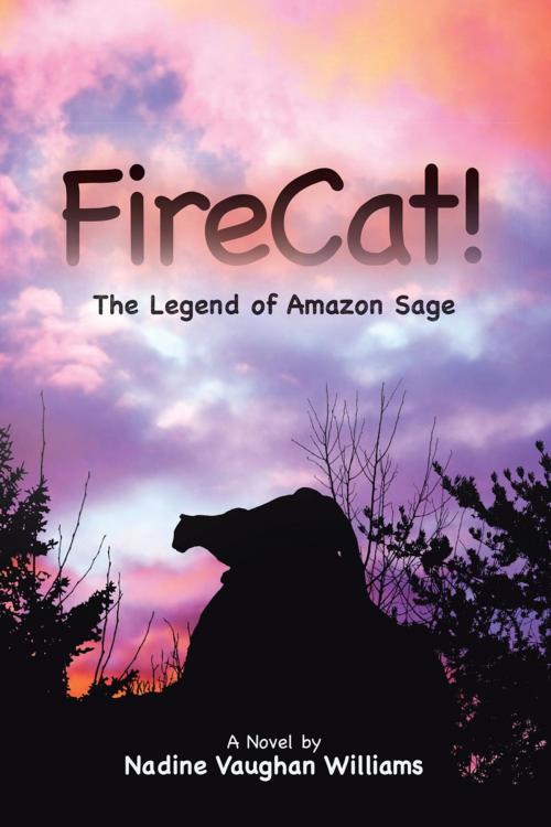 Cover of the book Firecat! by Nadine Vaughan Williams, AuthorHouse