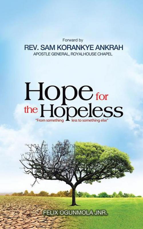 Cover of the book Hope for the Hopeless by Felix Ogunmola JNR, AuthorHouse UK