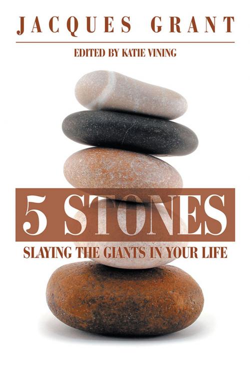 Cover of the book 5 Stones by Jacques Grant, Xlibris US
