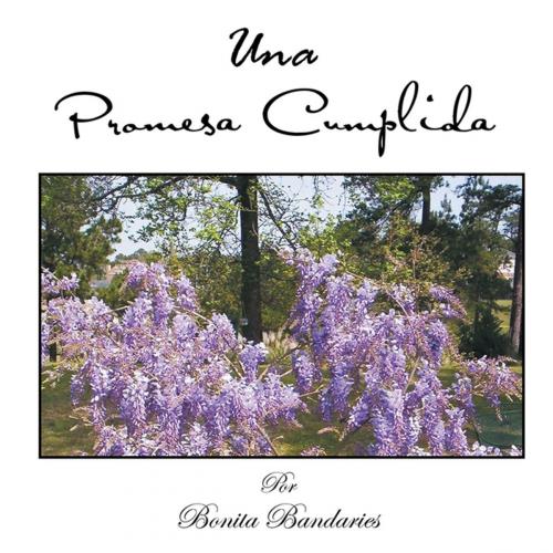 Cover of the book Una Promesa Cumplida by Bonita Bandaries, Xlibris US