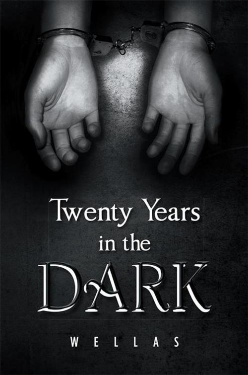 Cover of the book Twenty Years in the Dark by Wellas, Xlibris UK