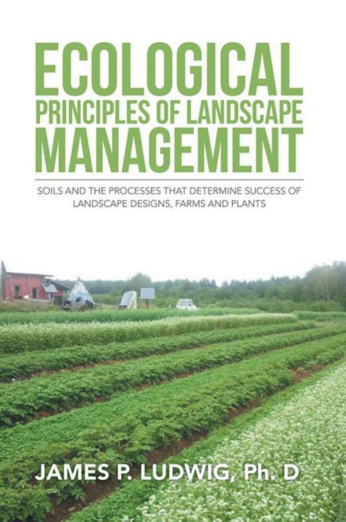 Cover of the book Ecological Principles of Landscape Management by James P. Ludwig Ph.D, Xlibris US