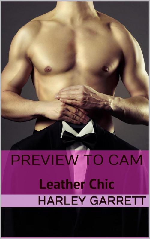 Cover of the book Preview to Cam by Mary K Preston, Langley's Lovelies