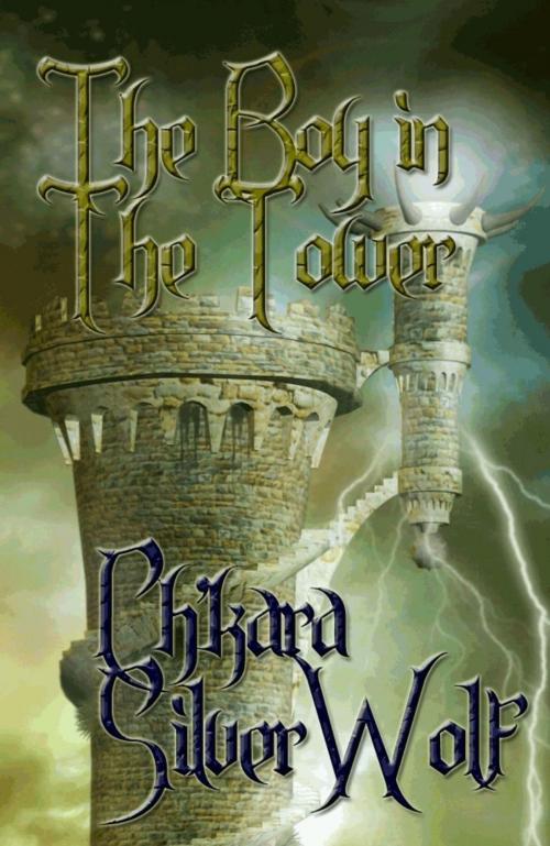 Cover of the book The Boy in the Tower by Ch'kara SilverWolf, Ch'kara SilverWolf