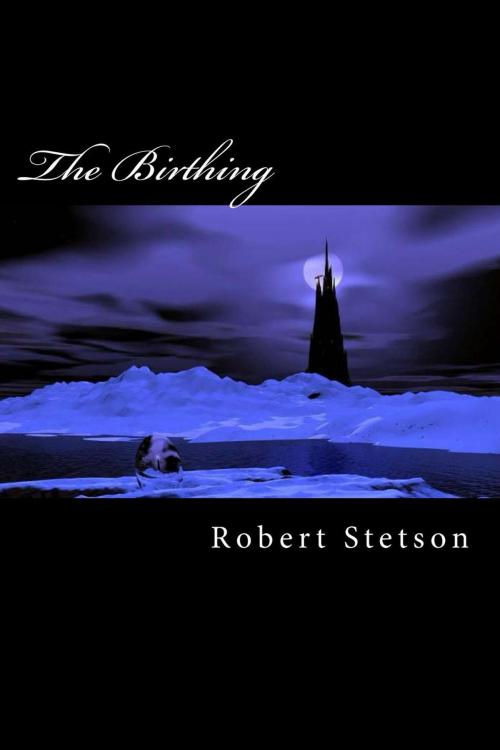 Cover of the book THE BIRTHING by Robert Stetson, Robert Stetson