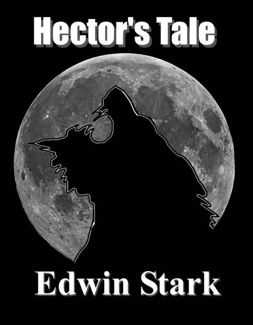 Cover of the book Hector's Tale by Edwin Stark, Edwin Stark
