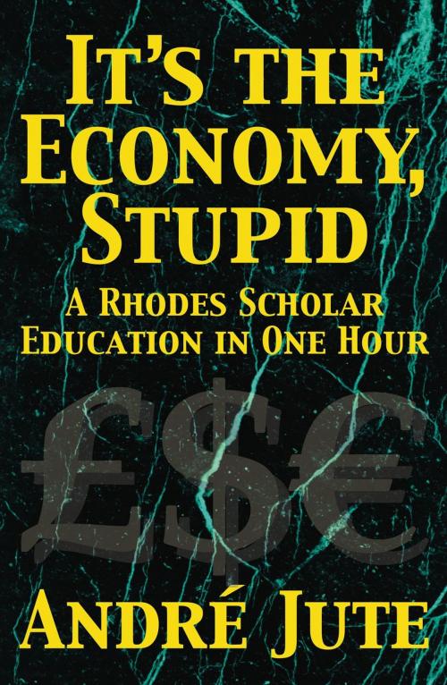 Cover of the book It's the Economy, Stupid: a Rhodes Scholar Education in One Hour by Andre Jute, CoolMain Press
