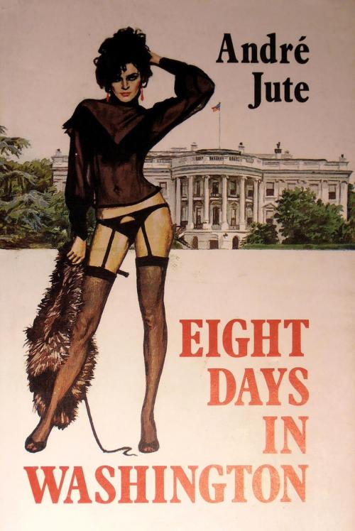 Cover of the book Eight Days in Washington by Andre Jute, CoolMain Press