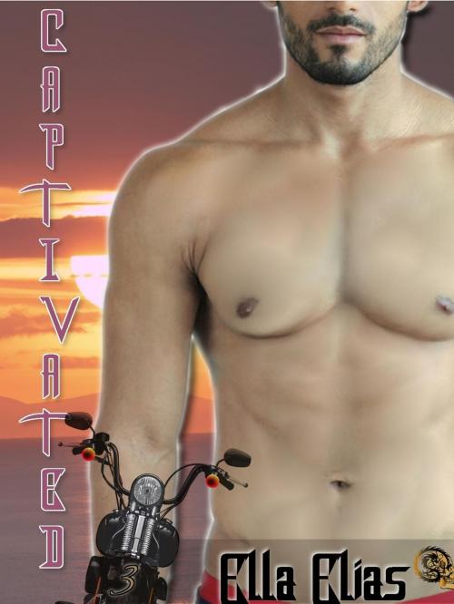 Cover of the book Captivated 3 (The Dragons) by Ella Elias, 3Distributions