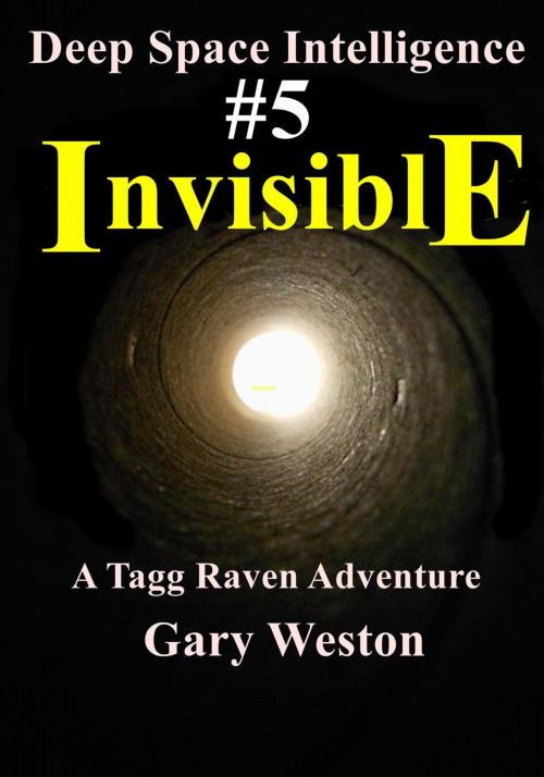 Cover of the book Deep Space Intelligence : Invisible by Gary Weston, Gary Weston