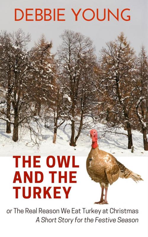 Cover of the book The Owl and The Turkey by Debbie Young, Hawkesbury Press