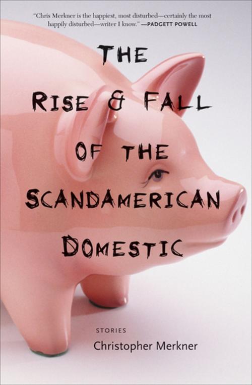 Cover of the book The Rise & Fall of the Scandamerican Domestic by Christopher Merkner, Coffee House Press