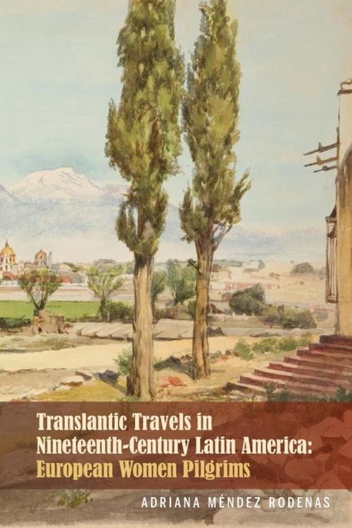 Cover of the book Transatlantic Travels in Nineteenth-Century Latin America by Adriana Méndez Rodenas, Bucknell University Press