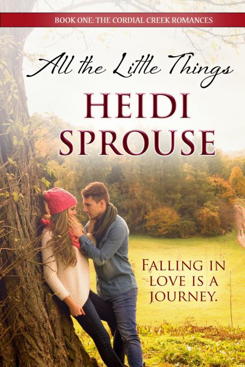 Cover of the book All the Little Things by Heidi Sprouse, BelleBooks Inc.