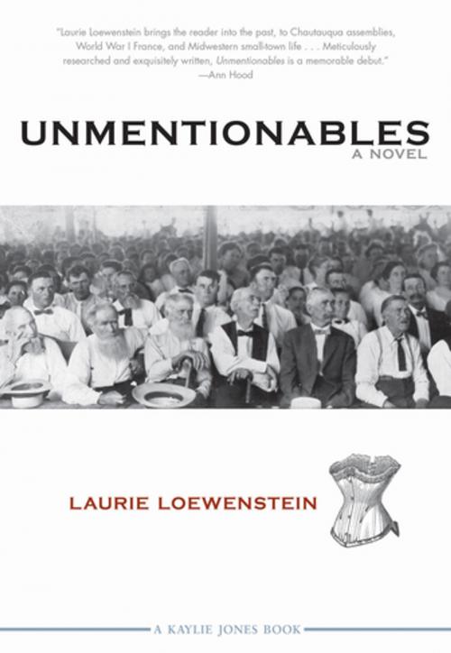 Cover of the book Unmentionables by Laurie Loewenstein, Akashic Books