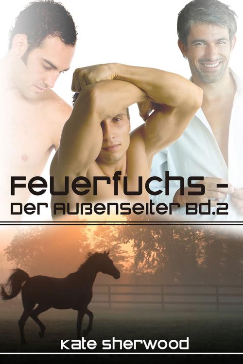Cover of the book Feuerfuchs - Der Außenseiter Bd. 2 by Kate Sherwood, Dreamspinner Press