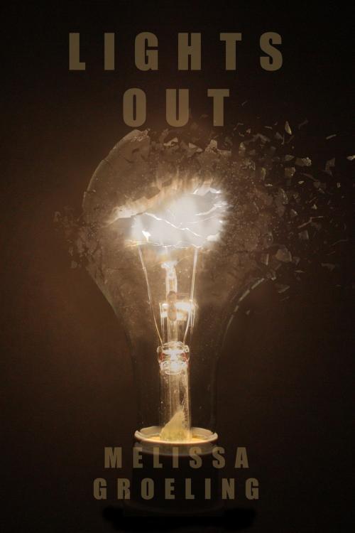 Cover of the book Lights Out by Melissa Groeling, Black Opal Books