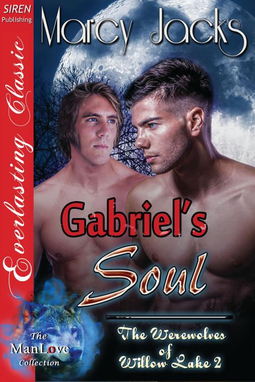 Cover of the book Gabriel's Soul by Marcy Jacks, Siren-BookStrand