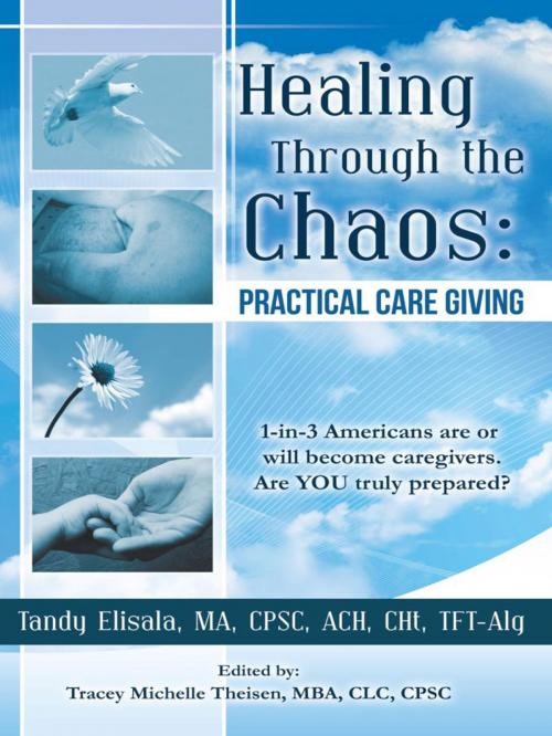 Cover of the book Healing Through the Chaos by Tandy Elisala, Tandy R. Elisala