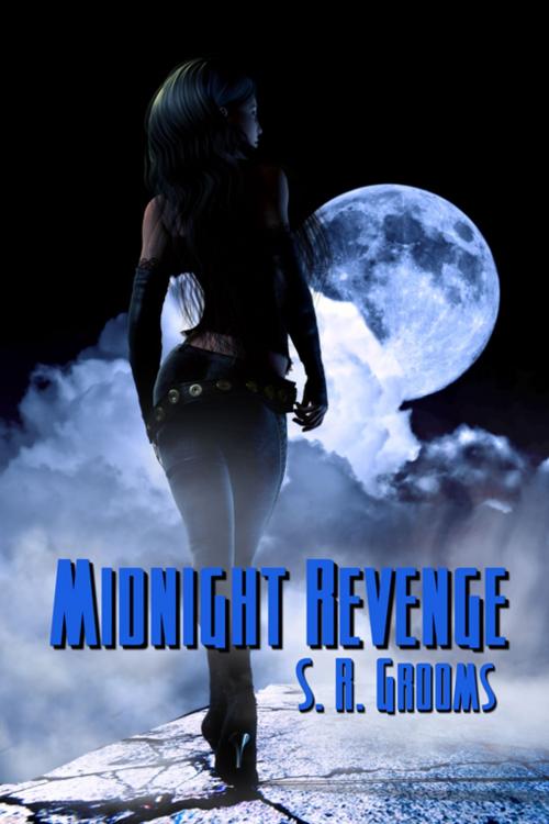 Cover of the book Midnight Revenge by S. R. Grooms, Double Dragon Publishing