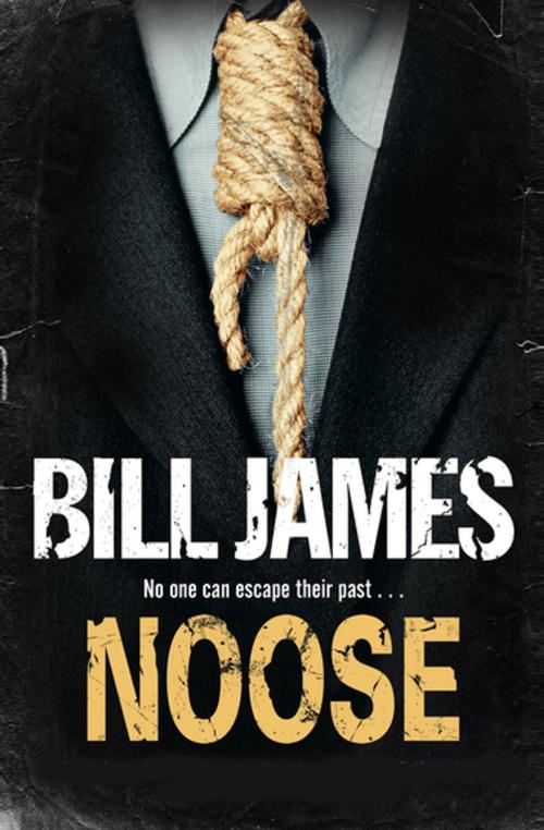 Cover of the book Noose by Bill James, Severn House Publishers