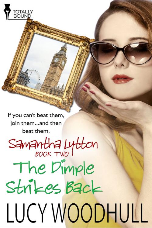 Cover of the book The Dimple Strikes Back by Lucy Woodhull, Totally Entwined Group Ltd