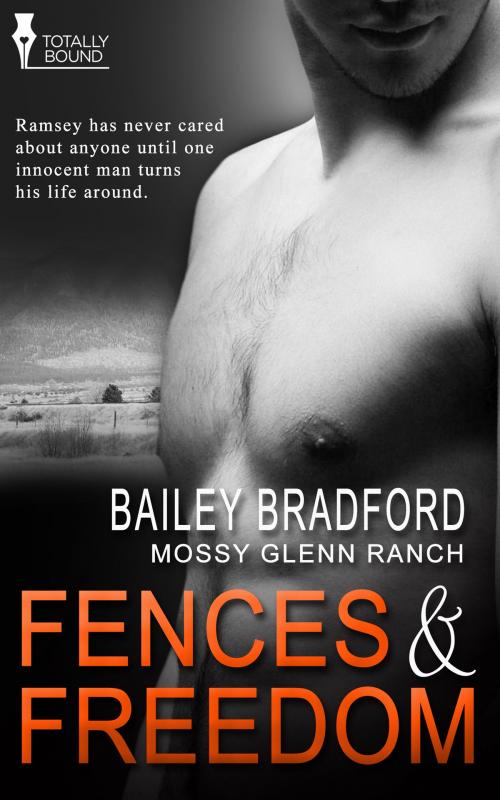 Cover of the book Fences and Freedom by Bailey Bradford, Totally Entwined Group Ltd