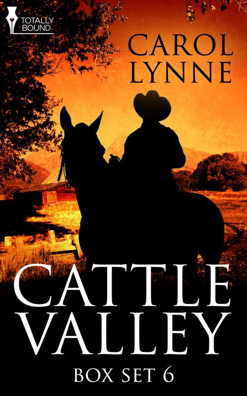 Cover of the book Cattle Valley Box Set 6 by Carol Lynne, Totally Entwined Group Ltd