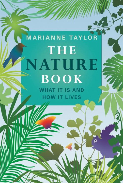 Cover of the book The Nature Book by Marianne Taylor, Michael O'Mara