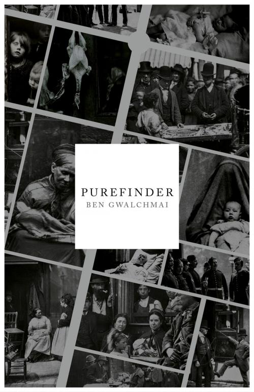 Cover of the book Purefinder by Ben Gwalchmai, John Hunt Publishing