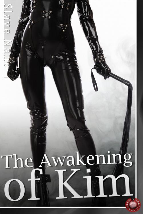 Cover of the book The Awakening of Kim by Slave Nano, Andrews UK