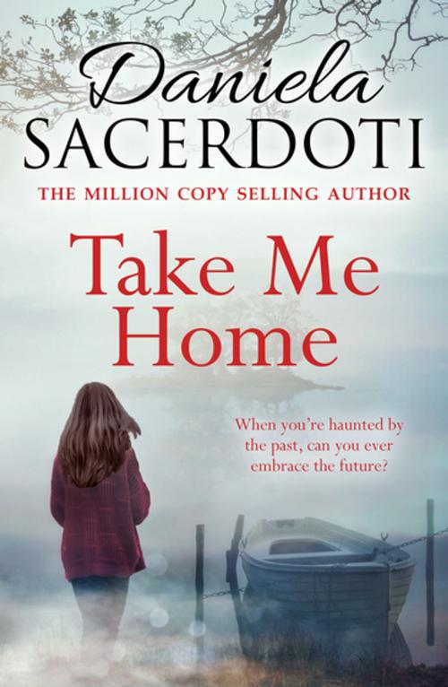 Cover of the book Take Me Home by Daniela Sacerdoti, Black & White Publishing