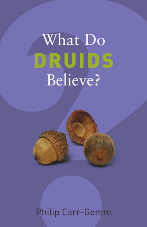 Cover of the book What Do Druids Believe? by Philip Carr-Gomm, Granta Publications