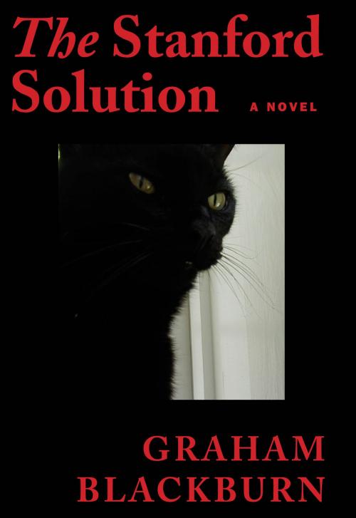 Cover of the book The Stanford Solution by Graham Blackburn, Graham Blackburn