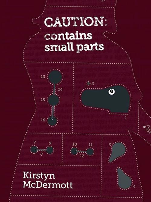Cover of the book Caution: Contains Small Parts by Kirstyn McDermott, Twelfth Planet Press