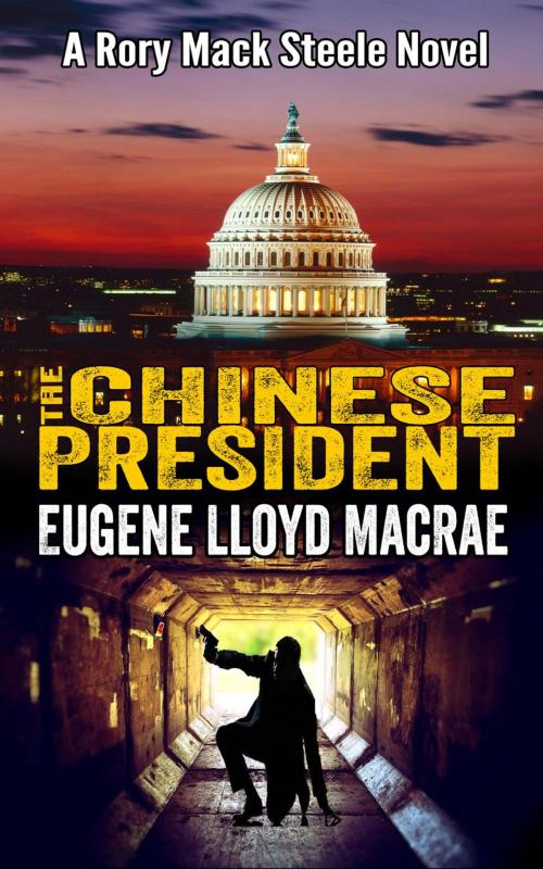 Cover of the book The Chinese President by Eugene Lloyd MacRae, Eugene Lloyd MacRae